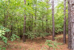 property photo for Whiskey Ridge Tract 52, 5.19 acres for sale in Henderson County, Tennessee
