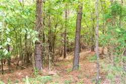 property photo for Whiskey Ridge Tract 52, 5.19 acres for sale in Henderson County, Tennessee