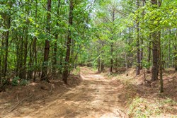 property photo for Whiskey Ridge Tract 52, 5.19 acres for sale in Henderson County, Tennessee