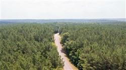 property photo for Whiskey Ridge Tract 53, 5.66 acres for sale in Henderson County, Tennessee