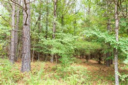 property photo for Whiskey Ridge Tract 53, 5.66 acres for sale in Henderson County, Tennessee