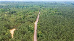 property photo for Whiskey Ridge Tract 54, 5.4 acres for sale in Henderson County, Tennessee