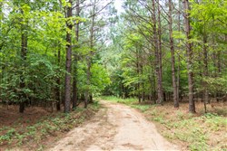 property photo for Whiskey Ridge Tract 54, 5.4 acres for sale in Henderson County, Tennessee