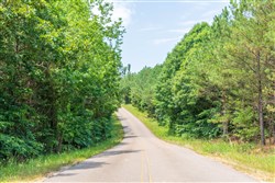 property photo for Whiskey Ridge Tract 54, 5.4 acres for sale in Henderson County, Tennessee