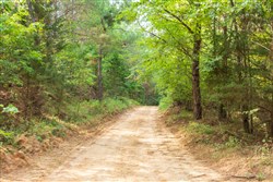 property photo for Whiskey Ridge Tract 55, 6.11 acres for sale in Henderson County, Tennessee