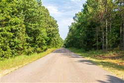 property photo for Whiskey Ridge Tract 55, 6.11 acres for sale in Henderson County, Tennessee
