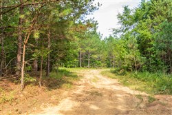 property photo for Whiskey Ridge Tract 55, 6.11 acres for sale in Henderson County, Tennessee