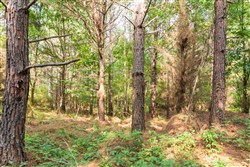 property photo for Whiskey Ridge Tract 55, 6.11 acres for sale in Henderson County, Tennessee