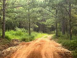 property photo for Whiskey Ridge Tract 56, 6.87 acres for sale in Henderson County, Tennessee