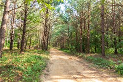 property photo for Whiskey Ridge Tract 56, 6.87 acres for sale in Henderson County, Tennessee