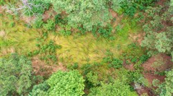 property photo for Whiskey Ridge Tract 56, 6.87 acres for sale in Henderson County, Tennessee