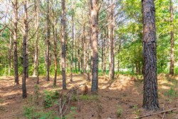 property photo for Whiskey Ridge Tract 56, 6.87 acres for sale in Henderson County, Tennessee