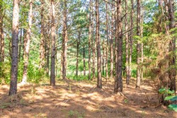 property photo for Whiskey Ridge Tract 56, 6.87 acres for sale in Henderson County, Tennessee