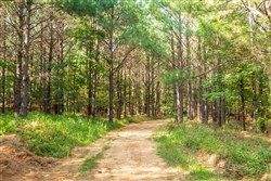 property photo for Whiskey Ridge Tract 57, 9.16 acres for sale in Henderson County, Tennessee