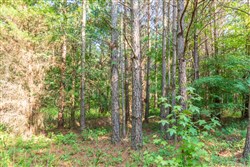 property photo for Whiskey Ridge Tract 57, 9.16 acres for sale in Henderson County, Tennessee