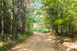 property photo for Whiskey Ridge Tract 57, 9.16 acres for sale in Henderson County, Tennessee