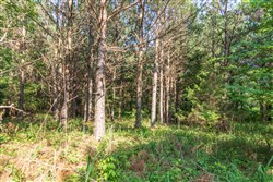 property photo for Whiskey Ridge Tract 57, 9.16 acres for sale in Henderson County, Tennessee
