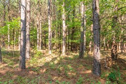 property photo for Whiskey Ridge Tract 57, 9.16 acres for sale in Henderson County, Tennessee
