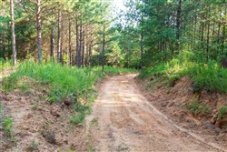 Whiskey Ridge Tract 58