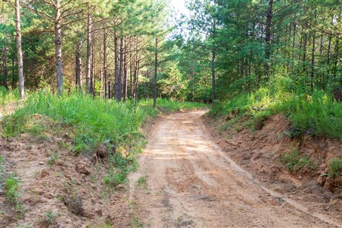 Whiskey Ridge Tract 58