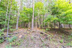 Whiskey Ridge Tract 58