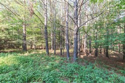 Whiskey Ridge Tract 58