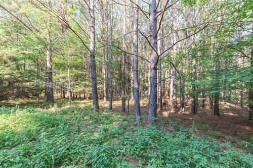 Whiskey Ridge Tract 58