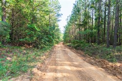 Whiskey Ridge Tract 58