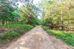 Whiskey Ridge Tract 58