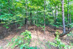 Whiskey Ridge Tract 58