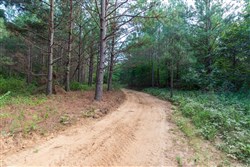 property photo for Whiskey Ridge Tract 59, 16.35 acres for sale in Henderson County, Tennessee
