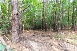 property photo for Whiskey Ridge Tract 59, 16.35 acres for sale in Henderson County, Tennessee