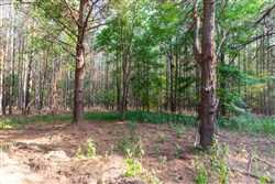 property photo for Whiskey Ridge Tract 59, 16.35 acres for sale in Henderson County, Tennessee