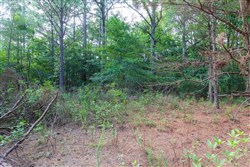 property photo for Whiskey Ridge Tract 59, 16.35 acres for sale in Henderson County, Tennessee