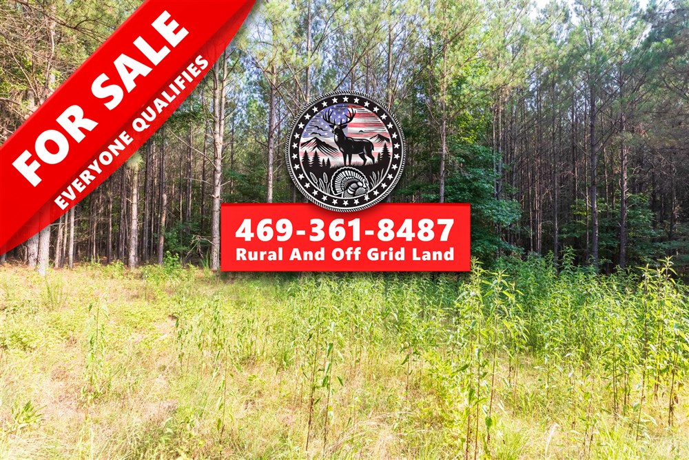 16.35 acre rural land tract for sale at Whiskey Ridge Tract 59 in Henderson County, Tennessee