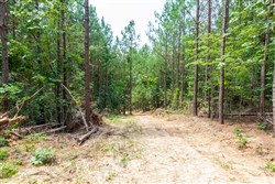 property photo for Whiskey Ridge Tract 6, 6.18 acres for sale in Henderson County, Tennessee