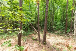 property photo for Whiskey Ridge Tract 6, 6.18 acres for sale in Henderson County, Tennessee