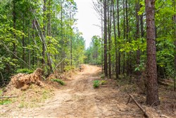property photo for Whiskey Ridge Tract 6, 6.18 acres for sale in Henderson County, Tennessee