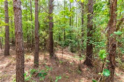 property photo for Whiskey Ridge Tract 6, 6.18 acres for sale in Henderson County, Tennessee