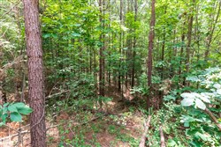 property photo for Whiskey Ridge Tract 6, 6.18 acres for sale in Henderson County, Tennessee