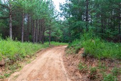 property photo for Whiskey Ridge Tract 60, 11.31 acres for sale in Henderson County, Tennessee