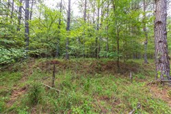 property photo for Whiskey Ridge Tract 60, 11.31 acres for sale in Henderson County, Tennessee