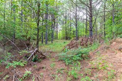 property photo for Whiskey Ridge Tract 60, 11.31 acres for sale in Henderson County, Tennessee