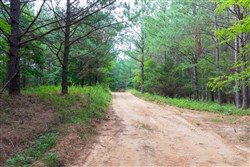 property photo for Whiskey Ridge Tract 60, 11.31 acres for sale in Henderson County, Tennessee