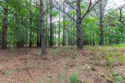 property photo for Whiskey Ridge Tract 60, 11.31 acres for sale in Henderson County, Tennessee