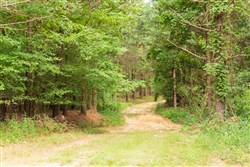 property photo for Whiskey Ridge Tract 61, 10.52 acres for sale in Henderson County, Tennessee
