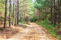 property photo for Whiskey Ridge Tract 61, 10.52 acres for sale in Henderson County, Tennessee