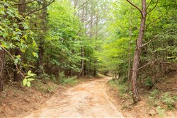 property photo for Whiskey Ridge Tract 62, 9.83 acres for sale in Henderson County, Tennessee