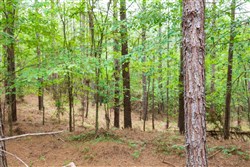 property photo for Whiskey Ridge Tract 62, 9.83 acres for sale in Henderson County, Tennessee