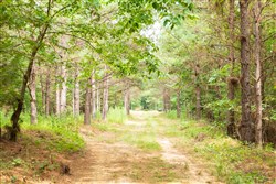 property photo for Whiskey Ridge Tract 62, 9.83 acres for sale in Henderson County, Tennessee